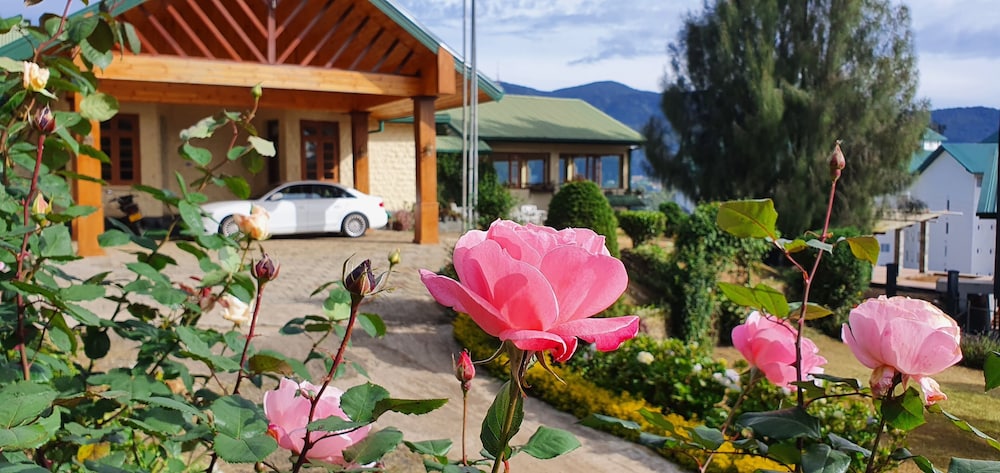 Tea Bush酒店(Tea Bush Hotel) 图片3