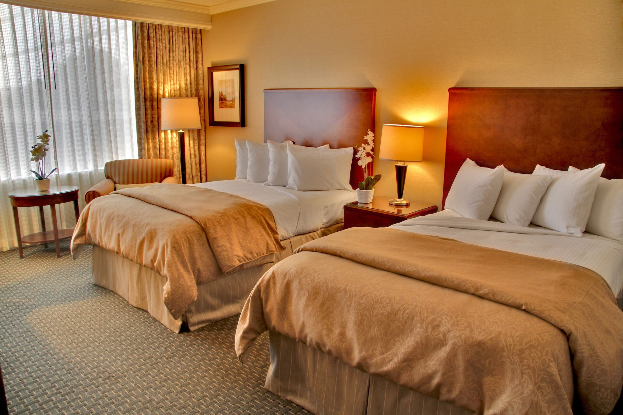 room, 2 double beds