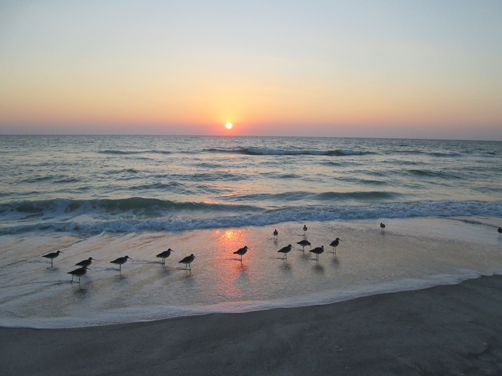 Casa Del Mar Longboat Key 36/50