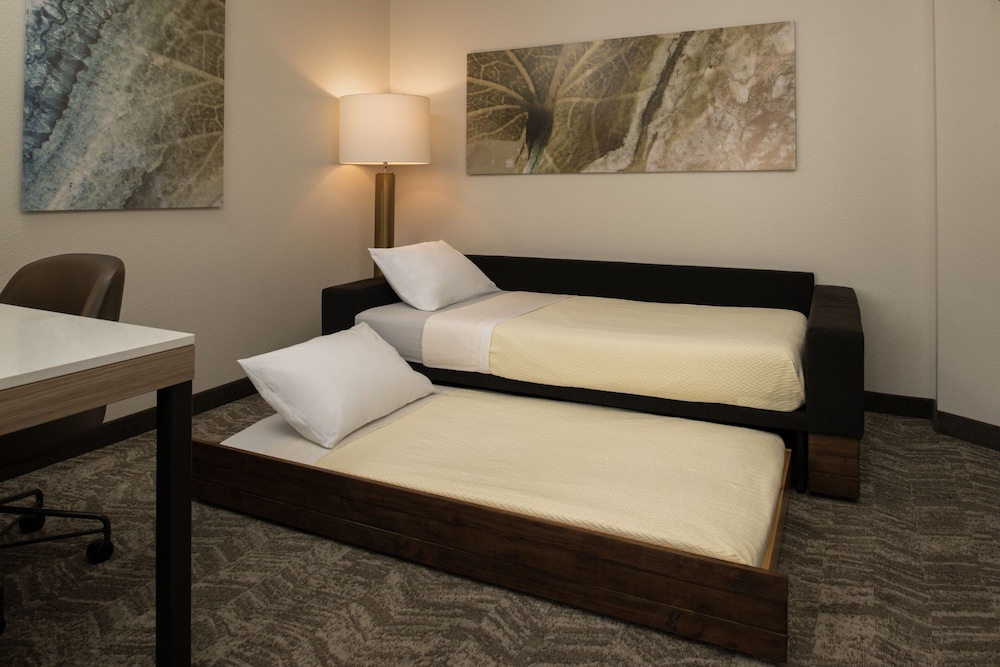 Springhill Suites By Marriott 11/46