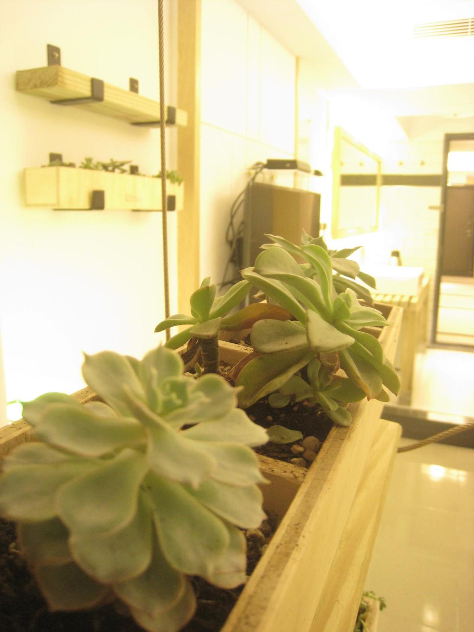 Formosa Boulevard Station Garden Hotel 25/50