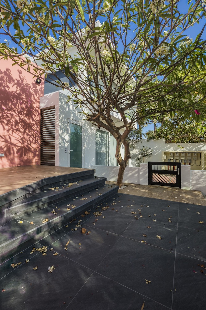 Boca Catalina Modern Villa 16/50