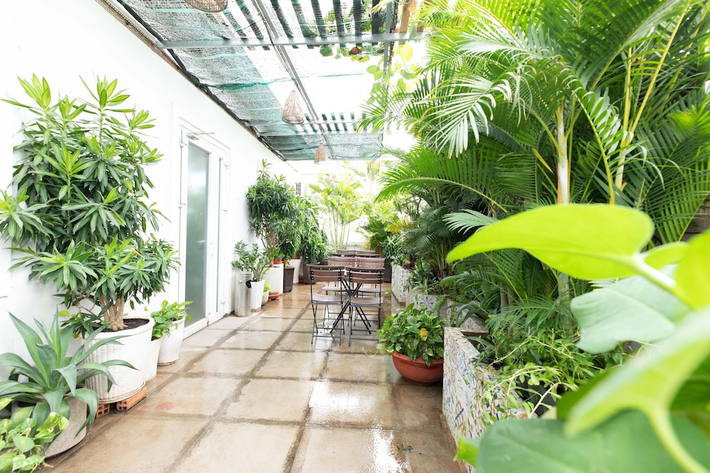 Airport Saigon Hotel 60/62