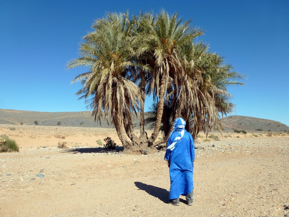 LA VALLEE DES DUNES 56/60