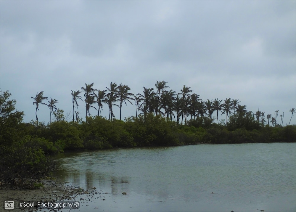 Sands Kalpitiya By GLN 15/42