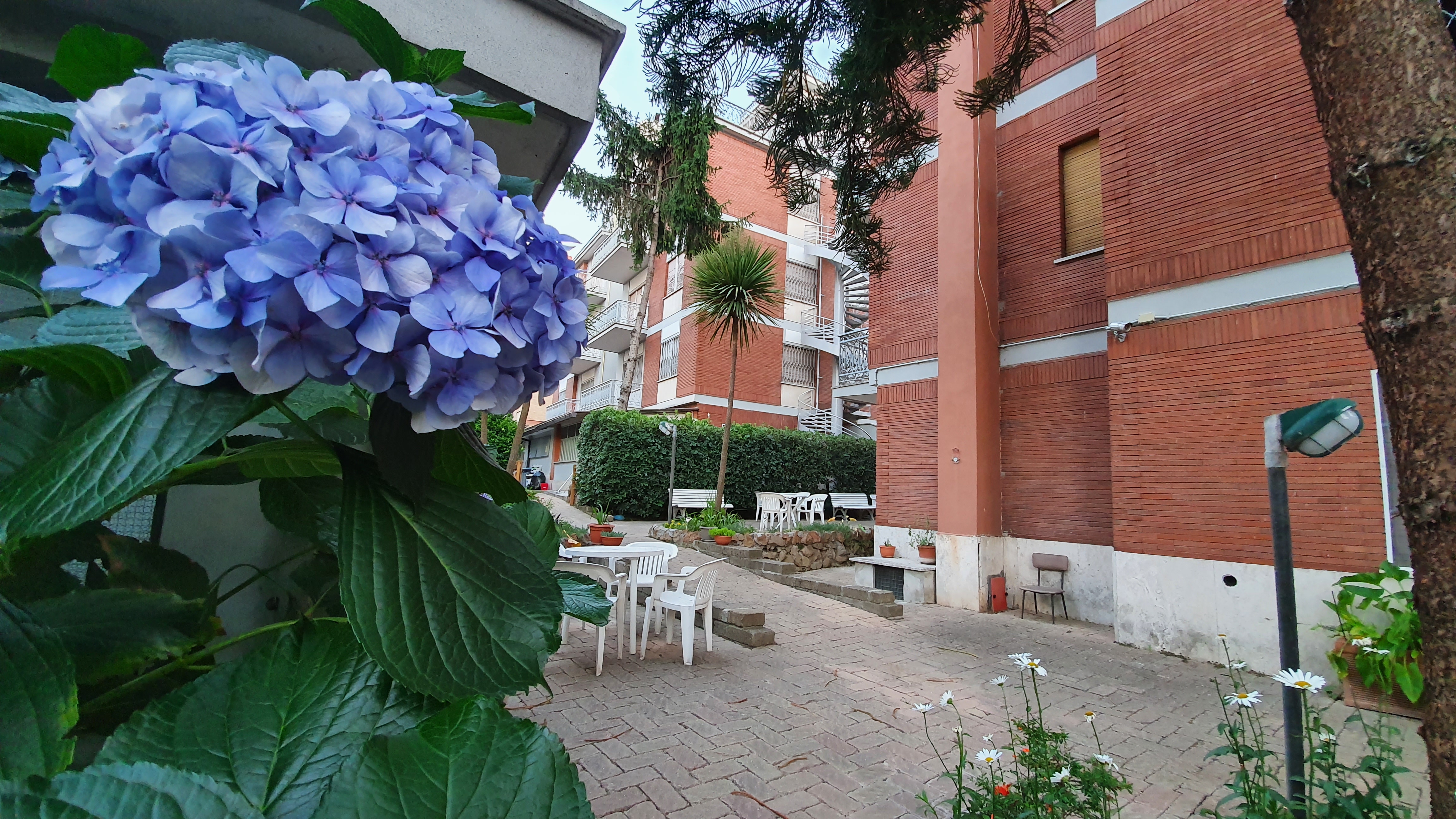 Villa Letizia - Casa Per Ferie 36/44
