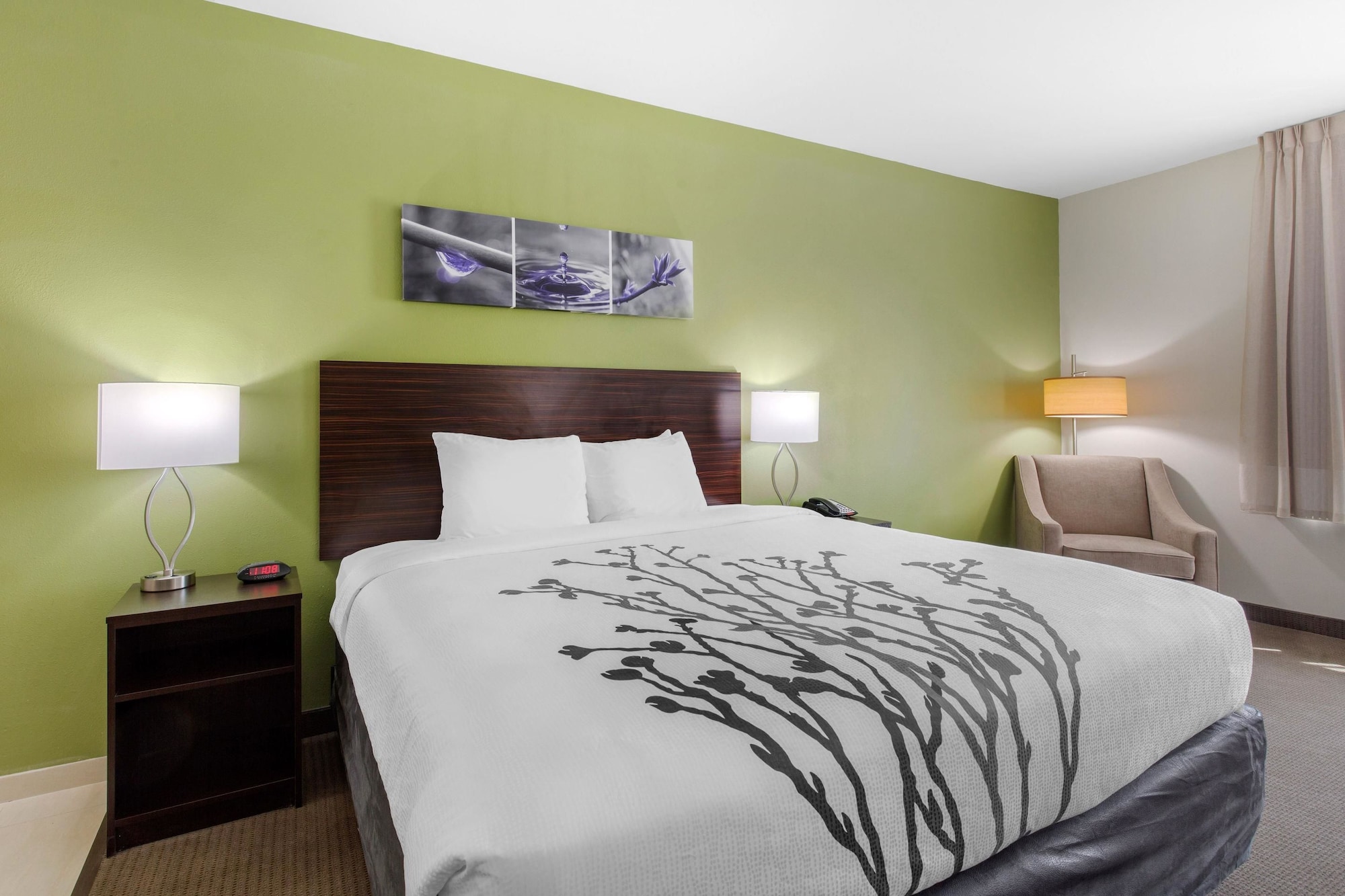 Upgrade, Suite, King Bed