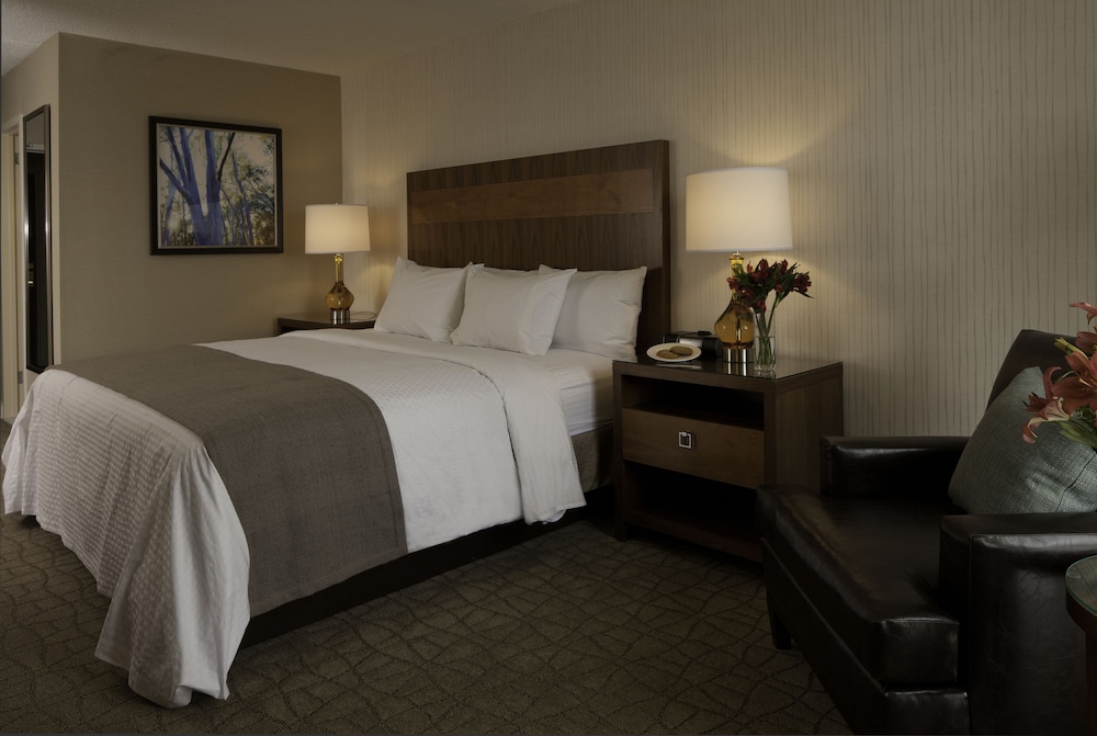 Doubletree By Hilton Pittsburgh Greentree 19/74