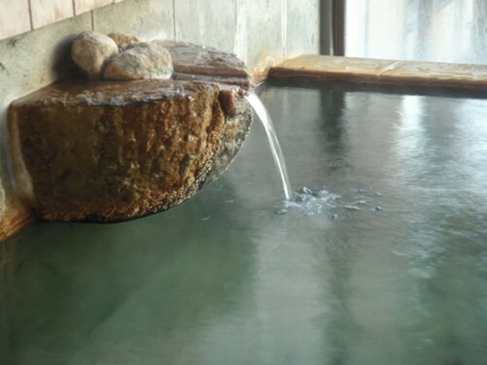 Nasuyumoto Onsen Wakaki Ryokan 22/46