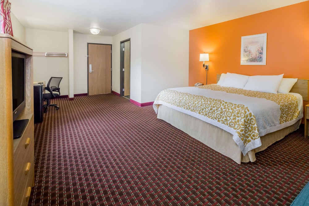 Deluxe, Single, King Bed