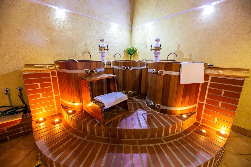 Hotel Dvorak Tabor 22/50