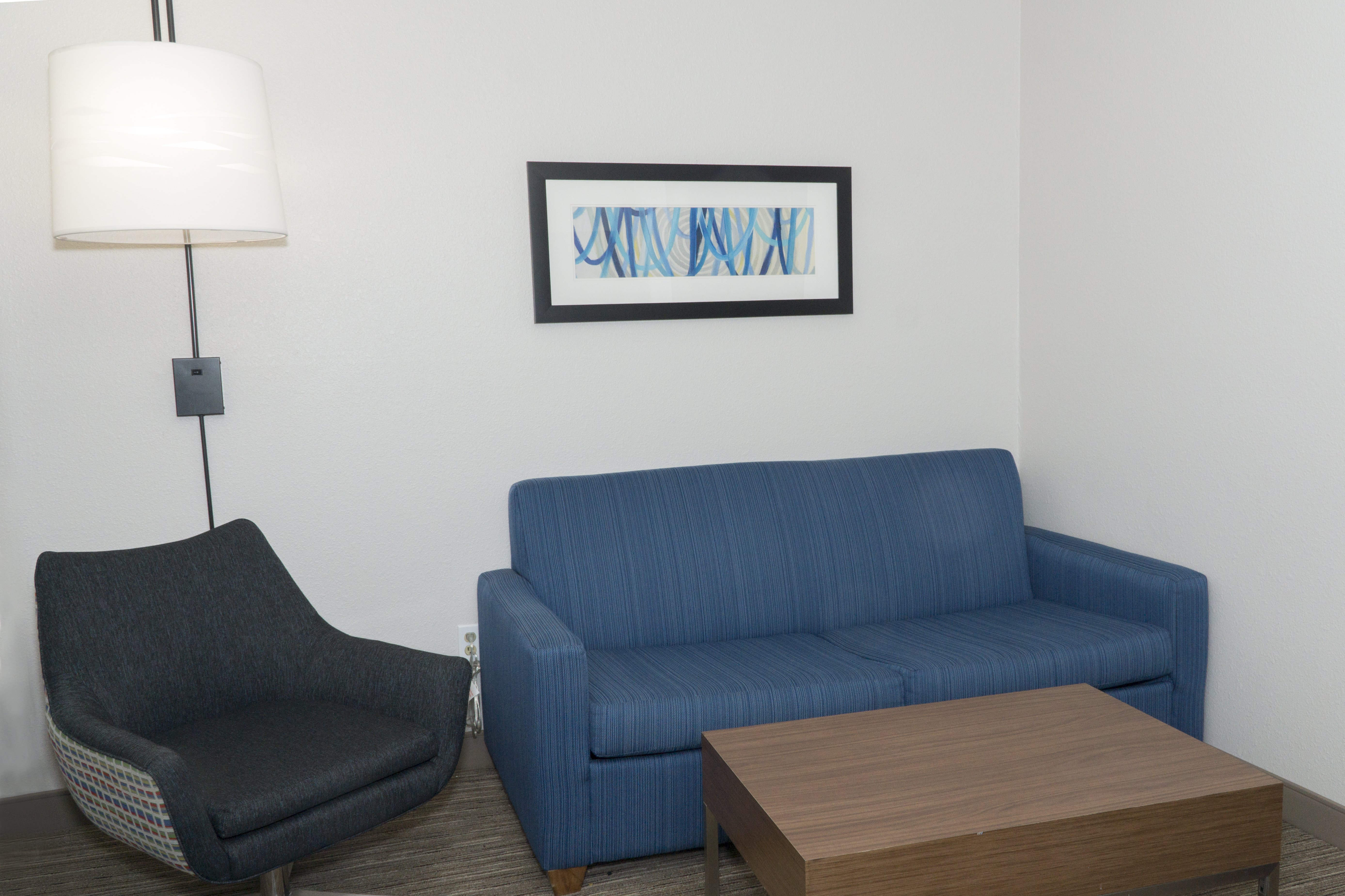 Holiday Inn Express Hotel & Suites Madison 43/60