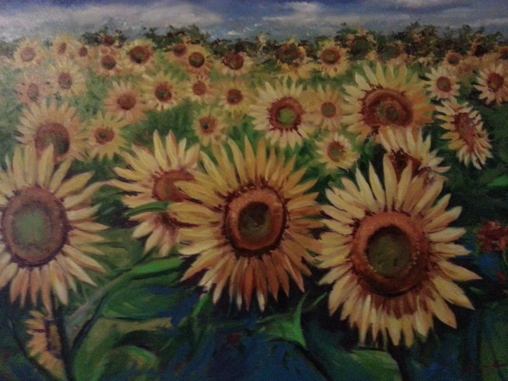 B&B Il Girasole 26/40