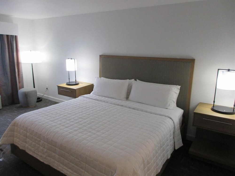 Holiday Inn Express Hotel And Suites Houston Downtown Convention Center 28/72