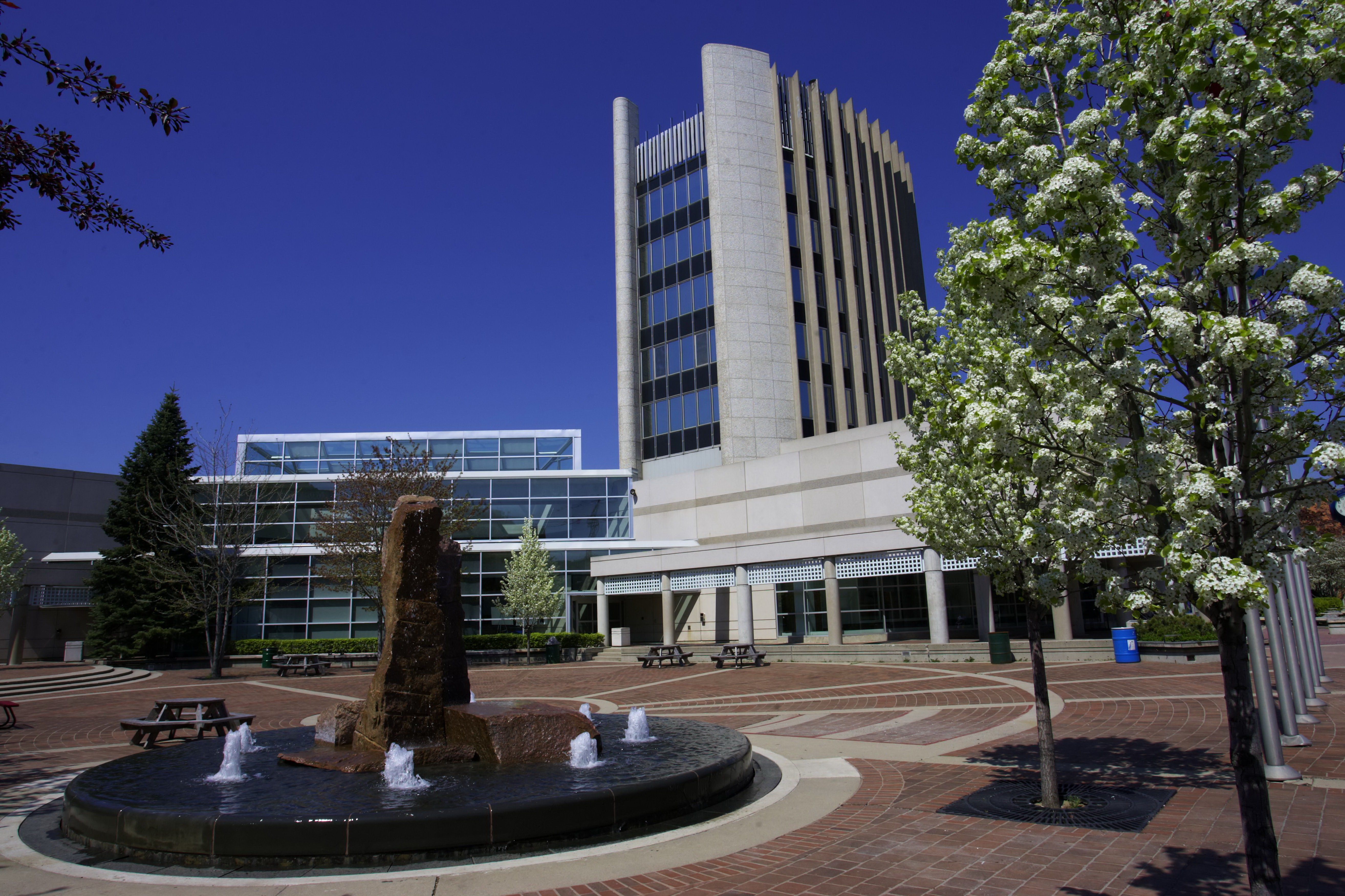 Candlewood Suites Burlington Conference Centre by IHG 2/44