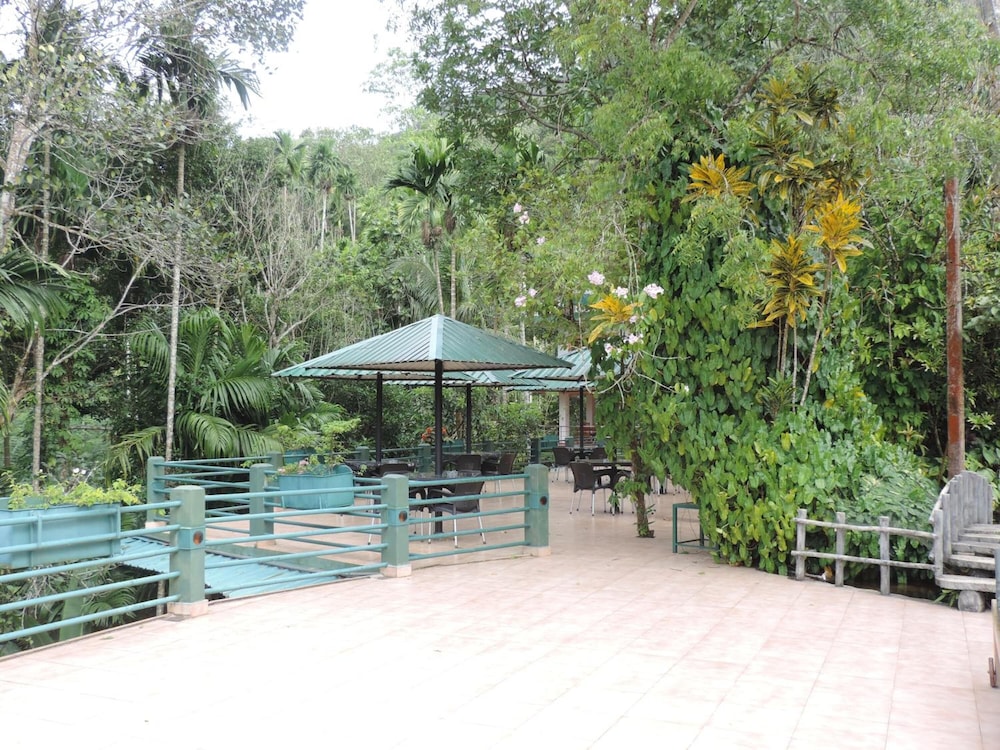 Rainforest Lodge 42/50