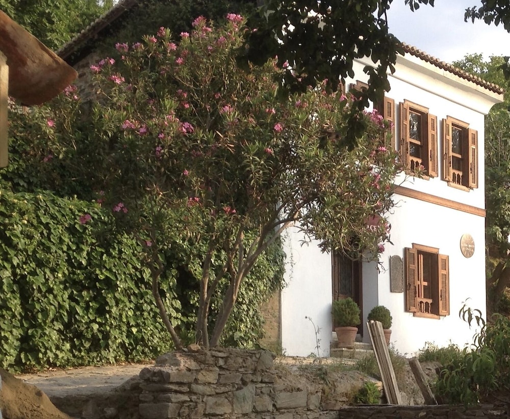 Terrace Houses Sirince - Fig, Olive and Grapevine 37/48