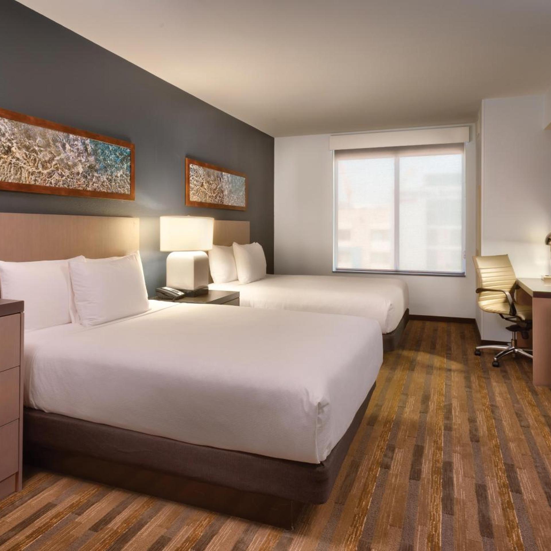 1 Bedroom, Specialty, Suite, 2 Queen Beds, Sofa, Kitchen