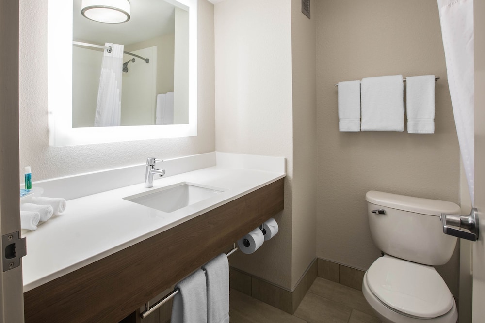 Holiday Inn Express & Suites Ludington 17/46