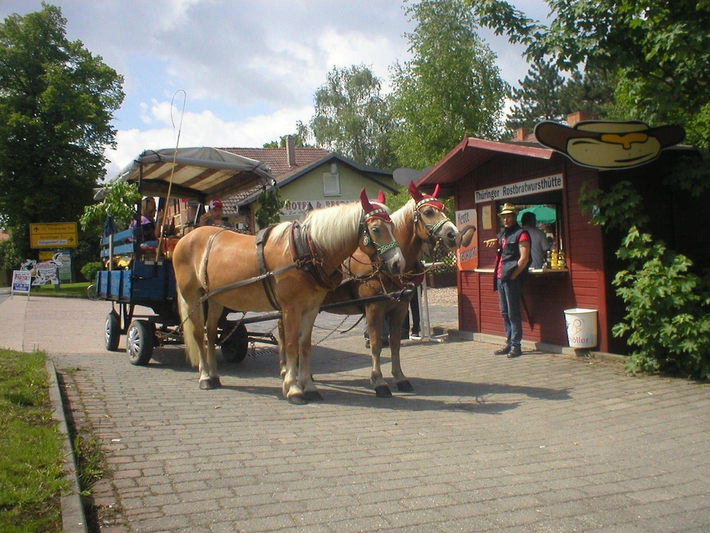 Alte Molkerei Hotel & Restaurant 3/59