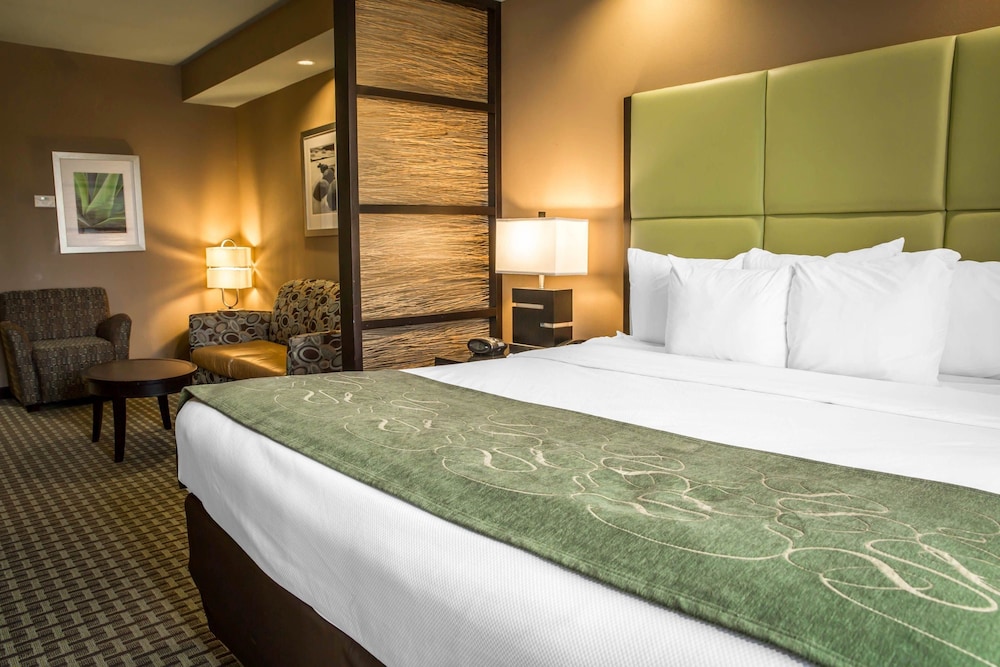 Comfort Suites New Bern near Cherry Point 17/65