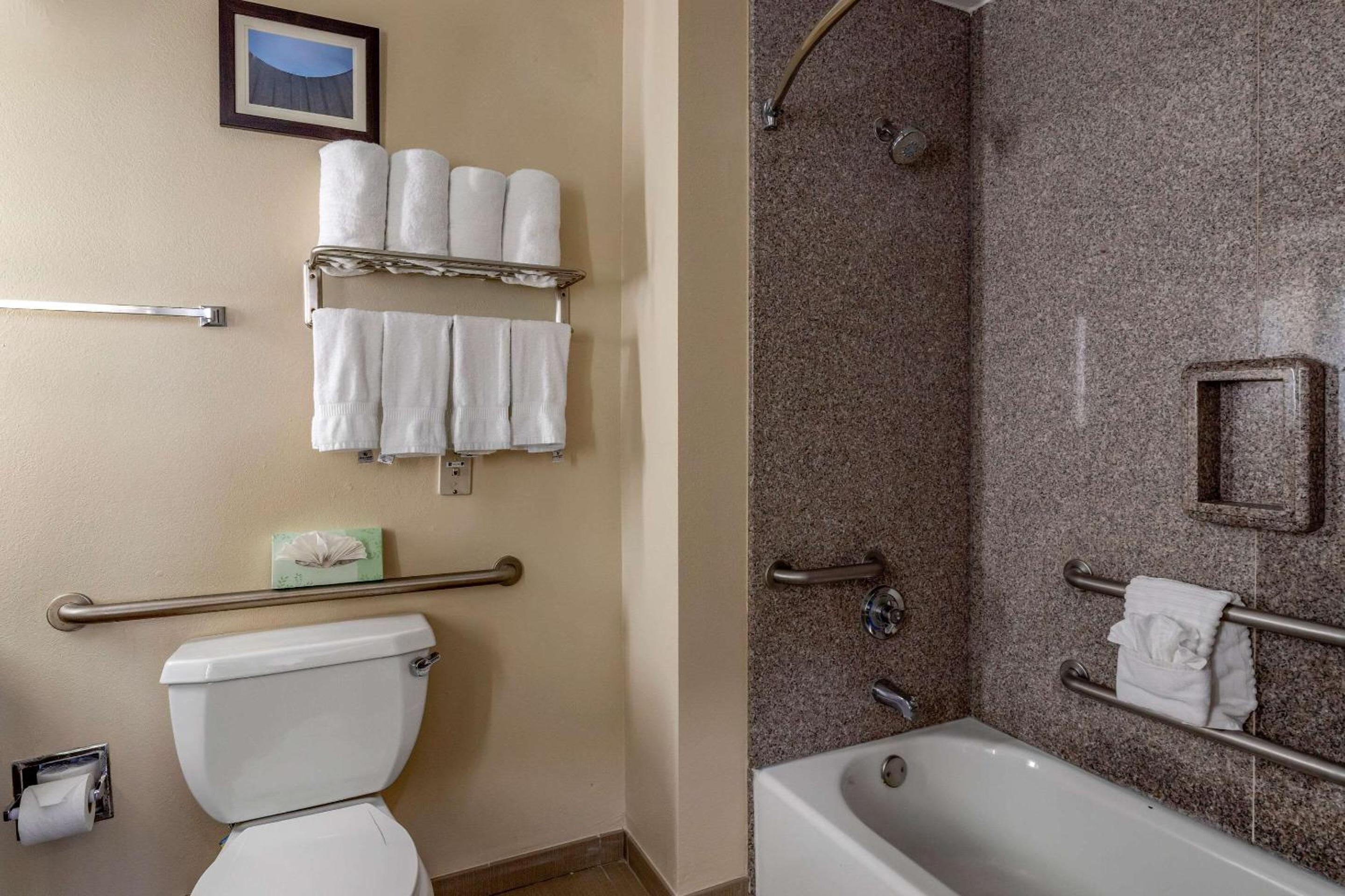 1 Bedroom, Suite, Sofa, Accessible, Comfort Suites Houston near Medical Center- NRG Stadium 7/7