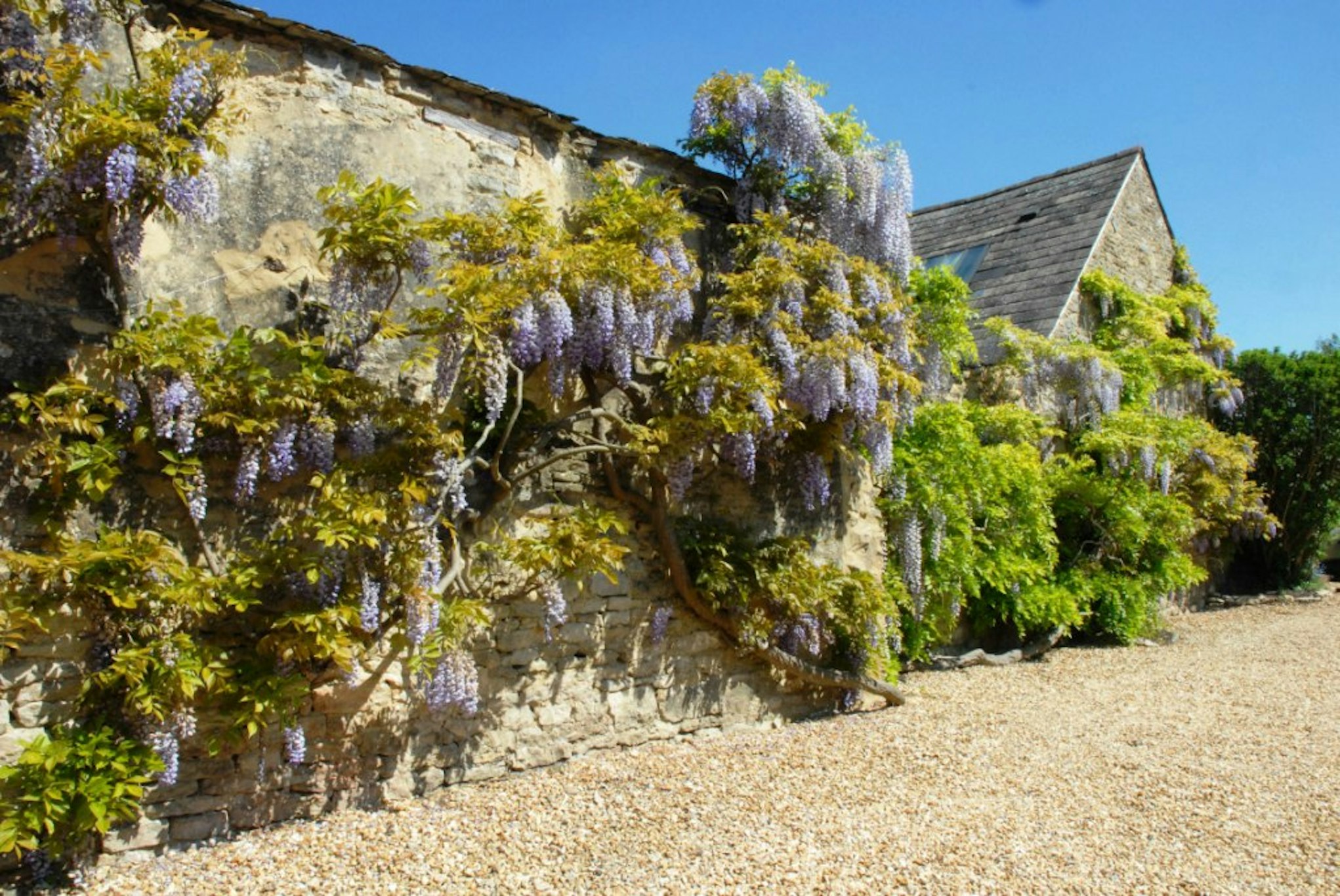Marlborough Arms Hotel 31/41