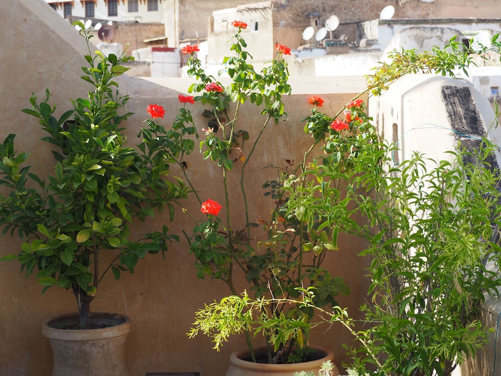 Dar Attajalli 45/50