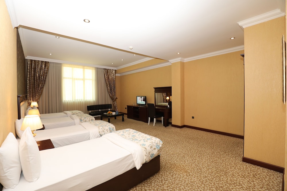 Modern Hotel Baku 17/55