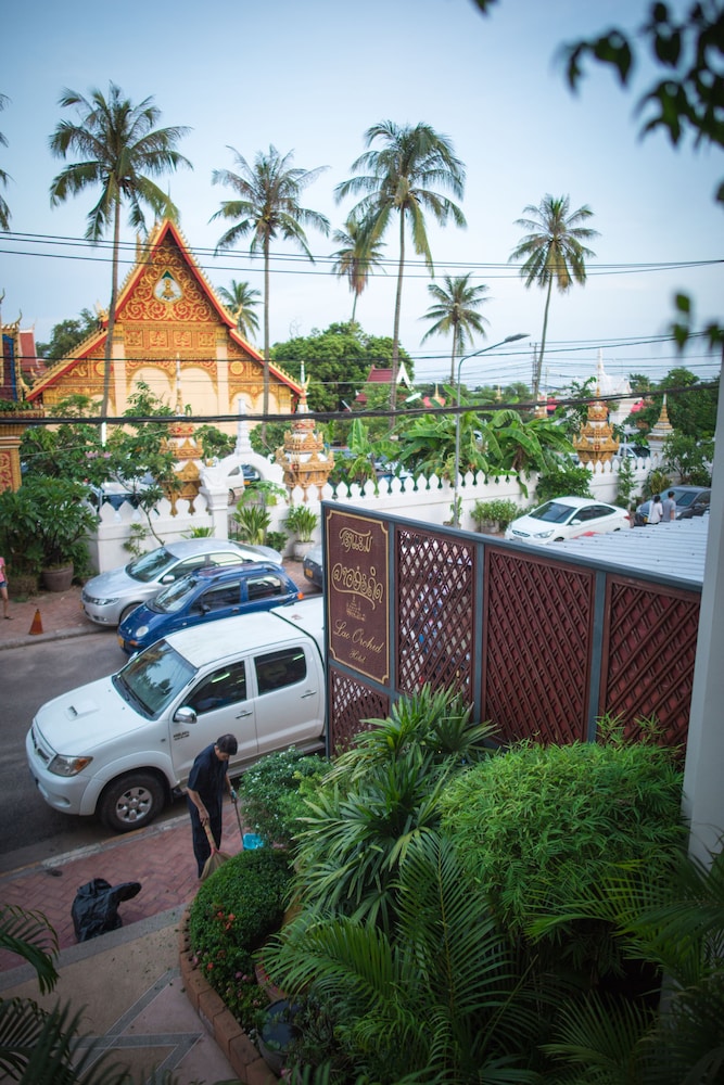 Lao Orchid 53/56