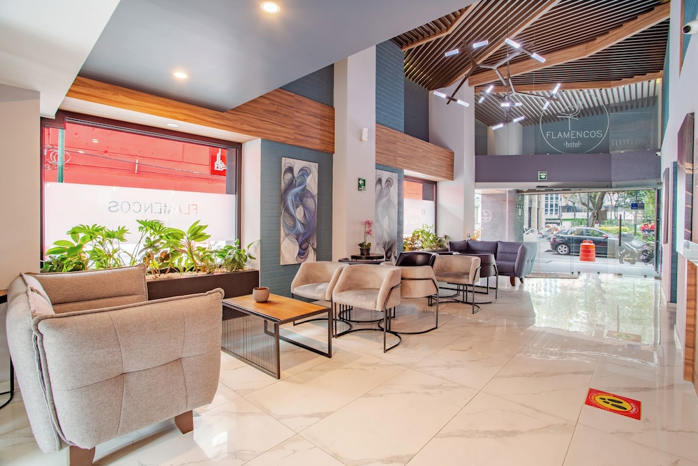 Hotel Flamencos 28/50