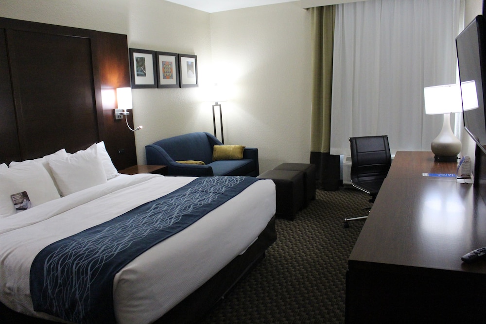 Comfort Inn & Suites Near Six Flags & Medical Center 8/36