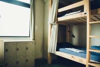 Mixed Dorm, Basic