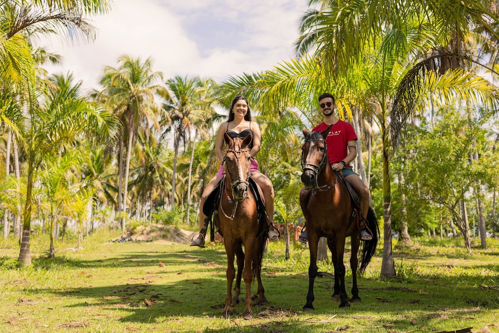 Pousada Paraiso dos Coqueirais 38/50