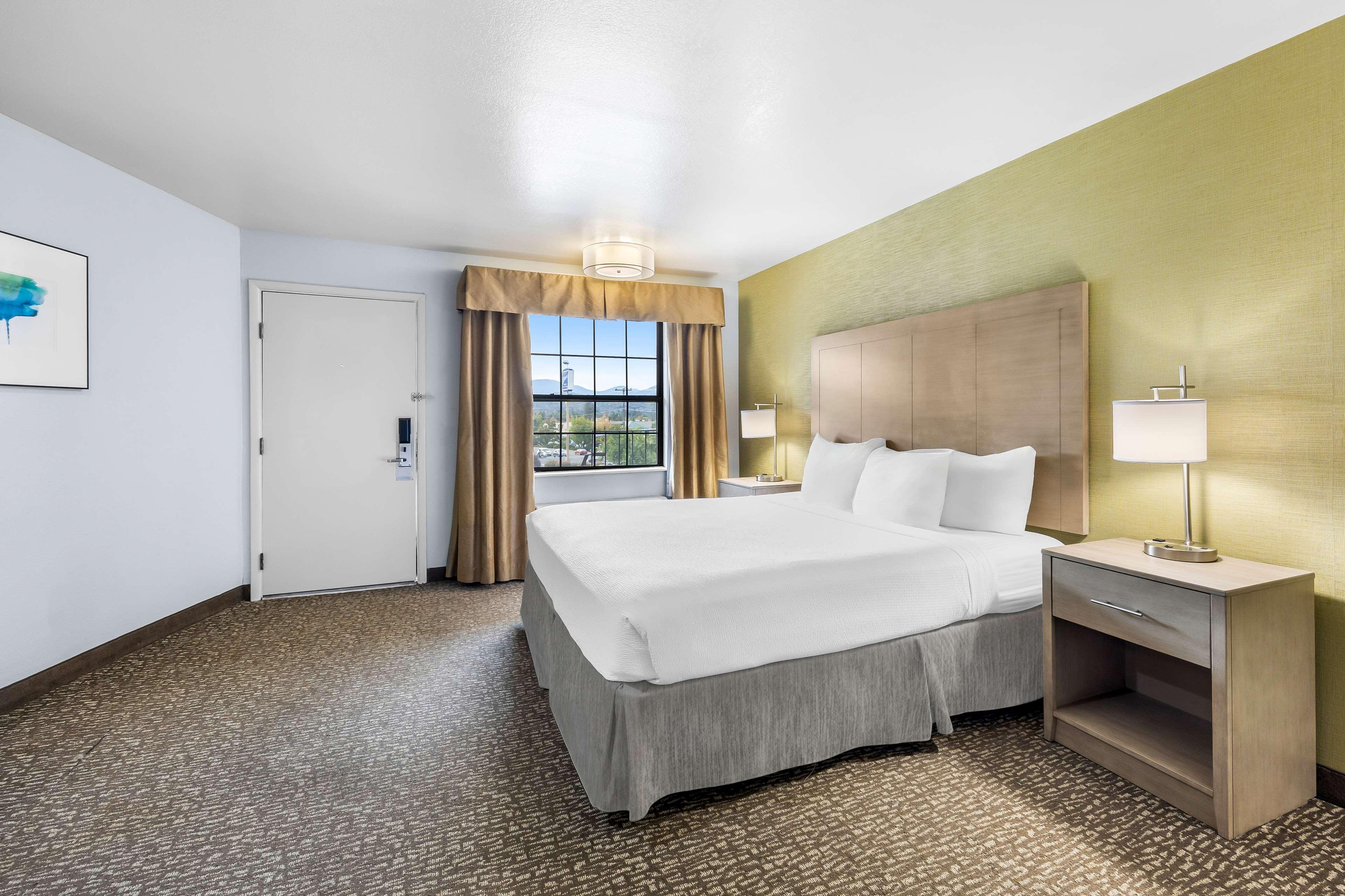 Suite, King Bed