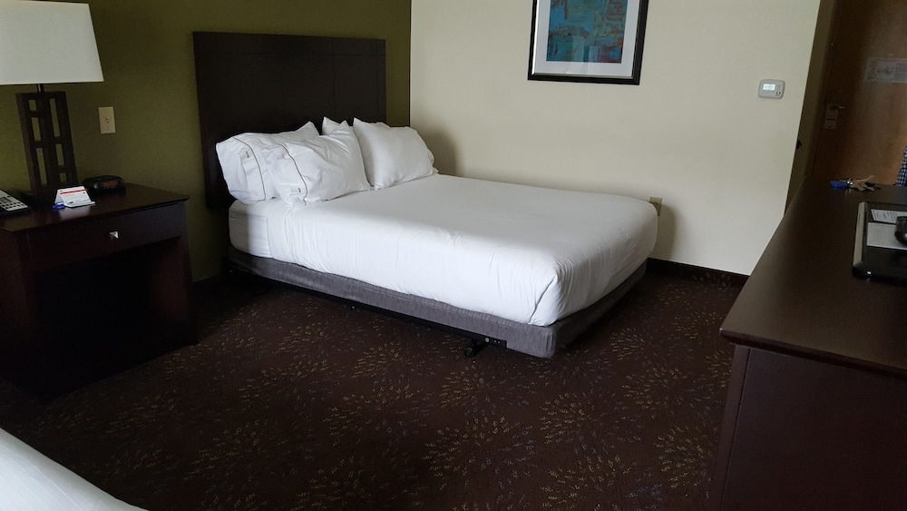 Holiday Inn Express Suites Geneva Finger Lakes 18/56