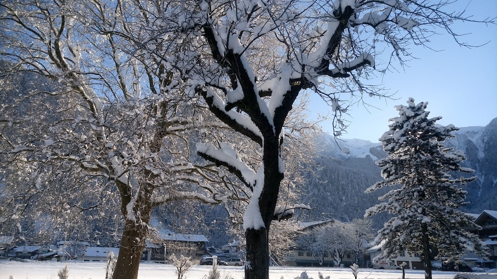 Pension Birkenhof 39/50
