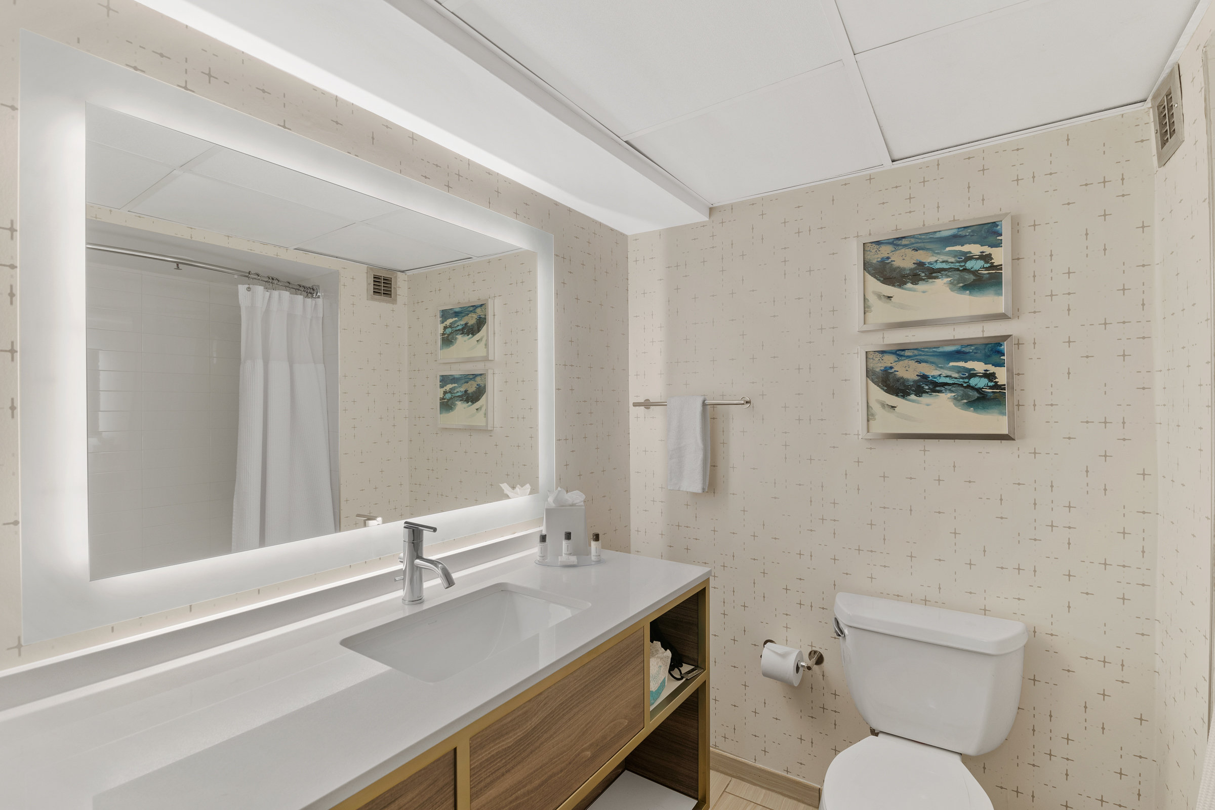 Crowne Plaza Houston Med Ctr-Galleria Area 72/75
