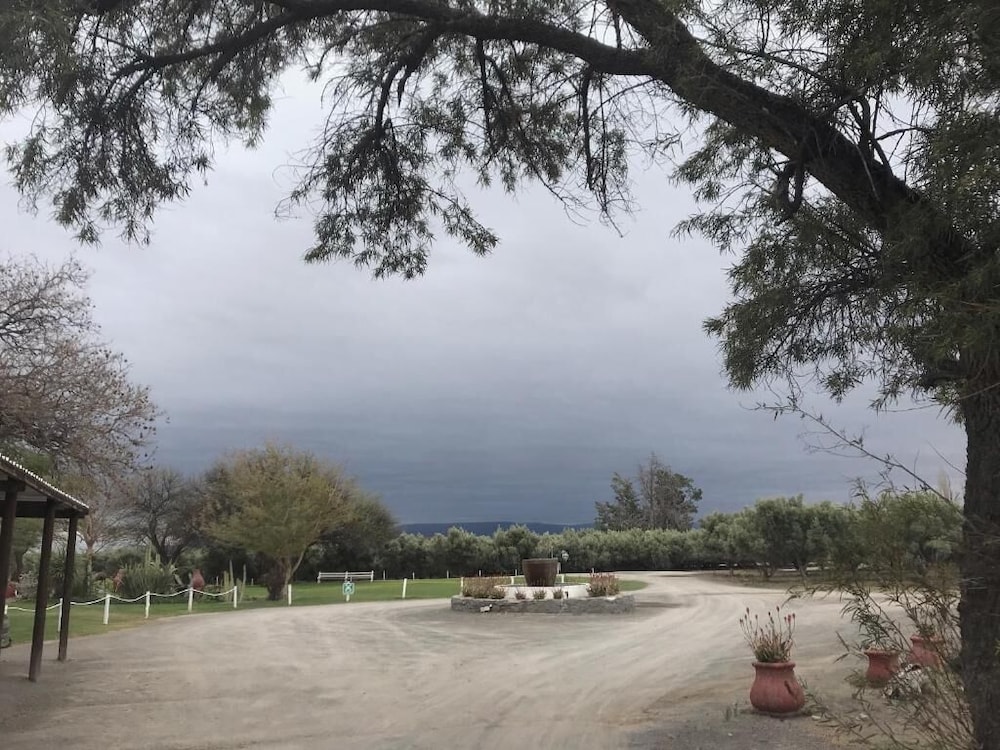 Olive Grove Guest Farm 39/50
