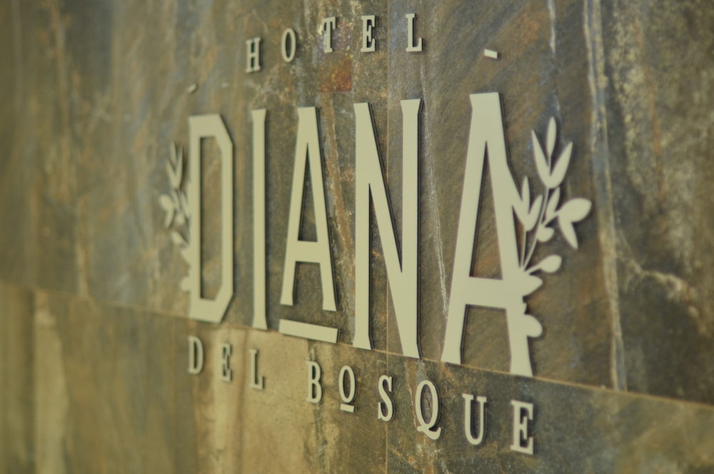 Diana Del Bosque Hotel 45/50