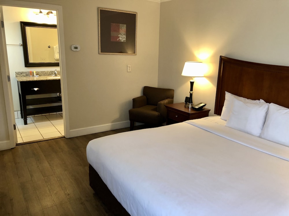 STANDARD, KING BED, ACCESSIBLE