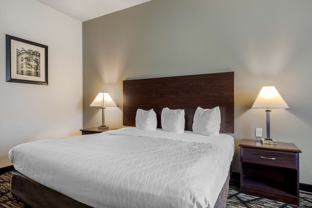 Best Western Plus Mckinney Inn & Suites 15/37