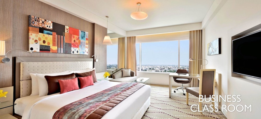 Radisson Blu Bengaluru Outer Ring Road (ex Park Plaza Bengaluru Hotel) 21/74