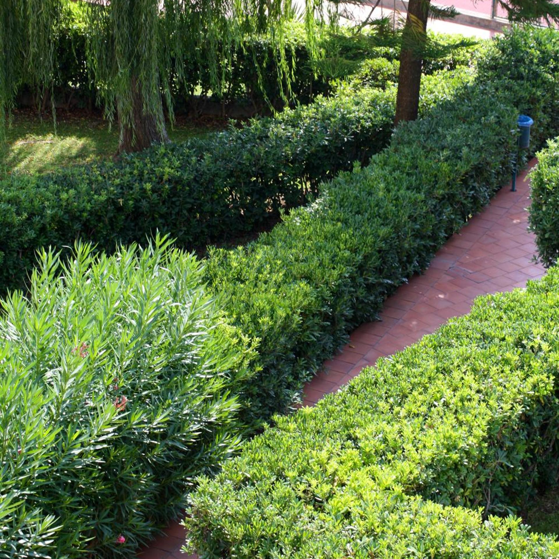 Residence La Meridiana 39/50