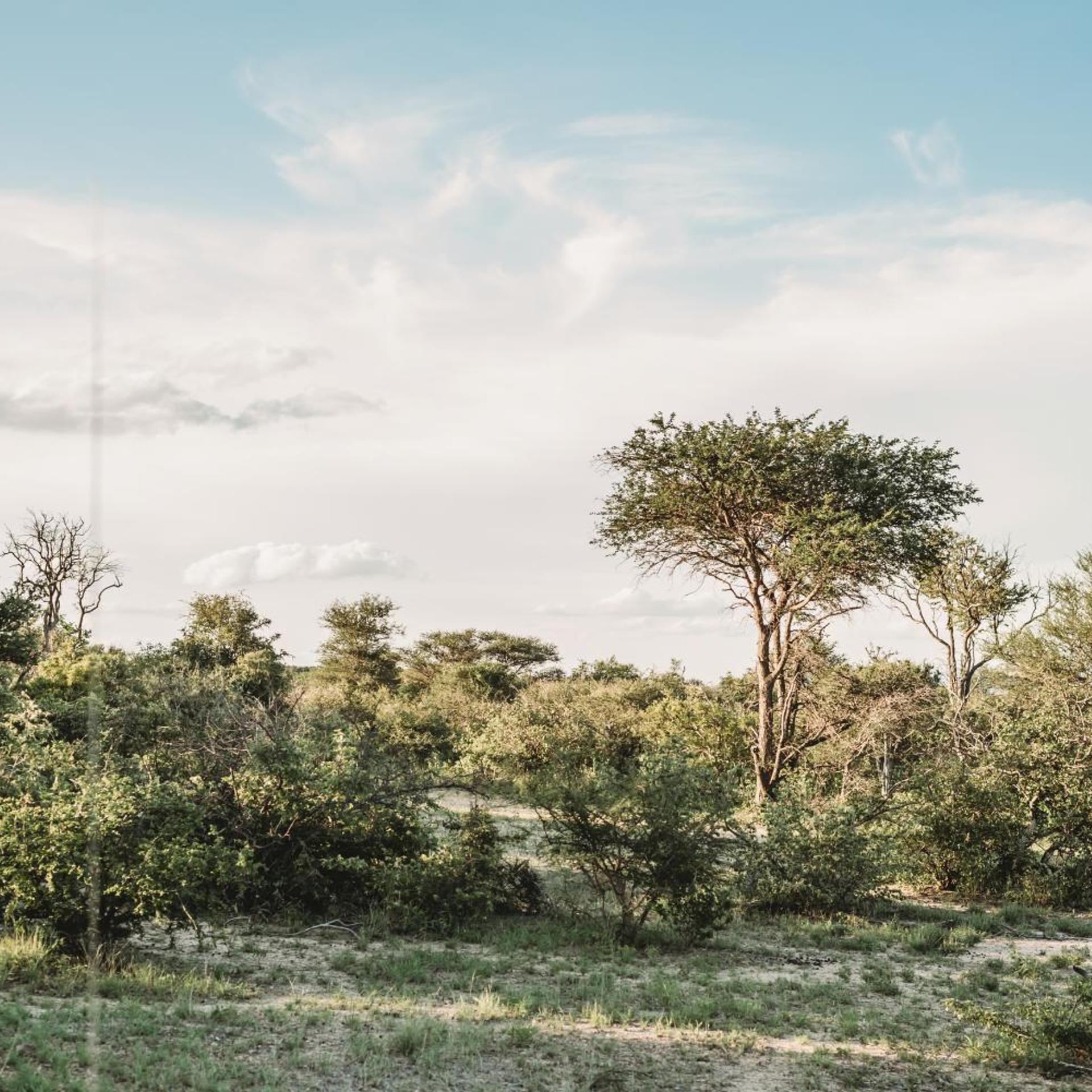 Maroelani Private Nature Reserve 43/50