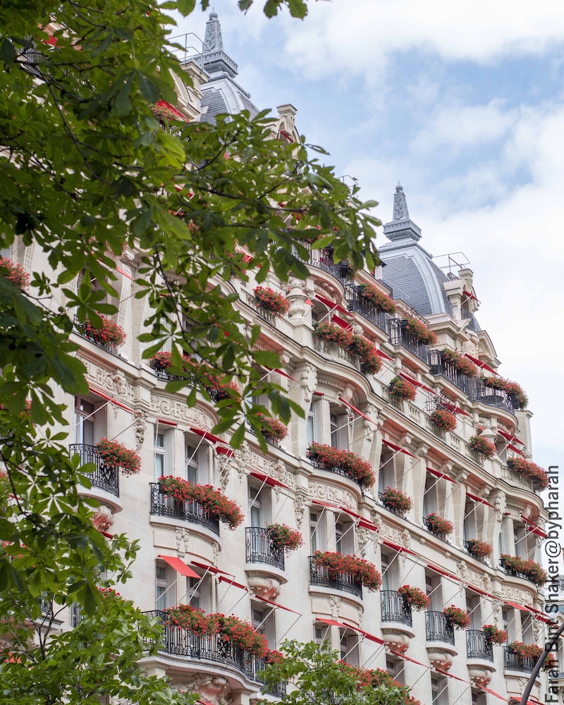 Hotel Plaza Athenee 6/79