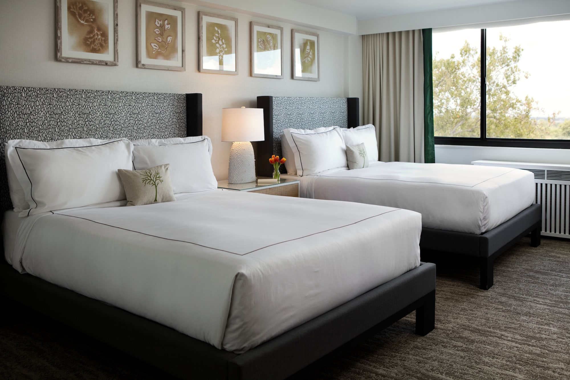room, 2 queen beds