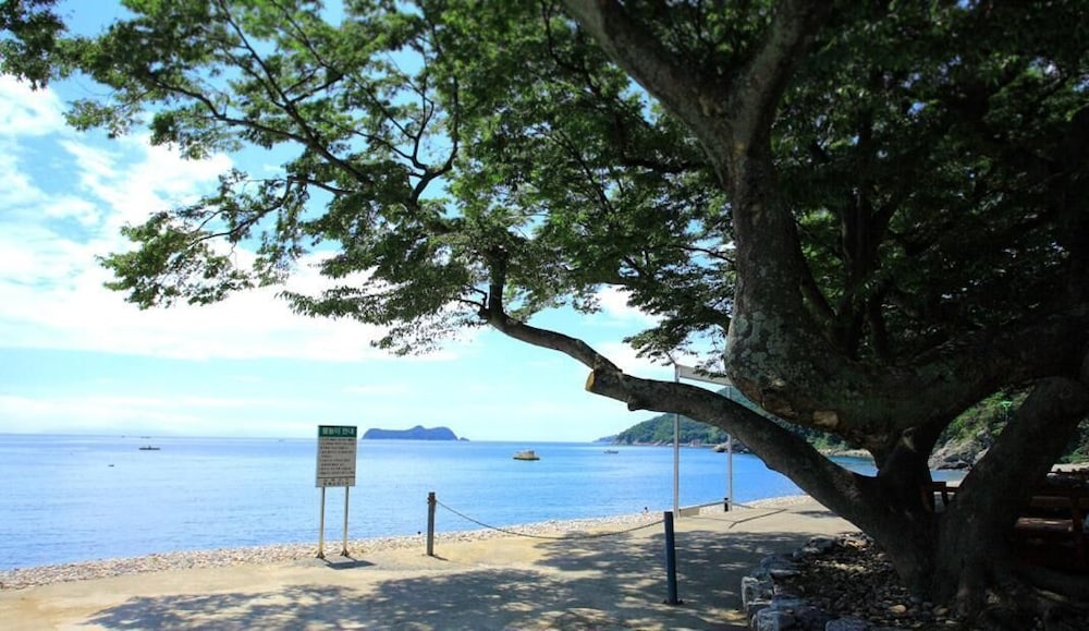 Pinky Marine Pension 37/50