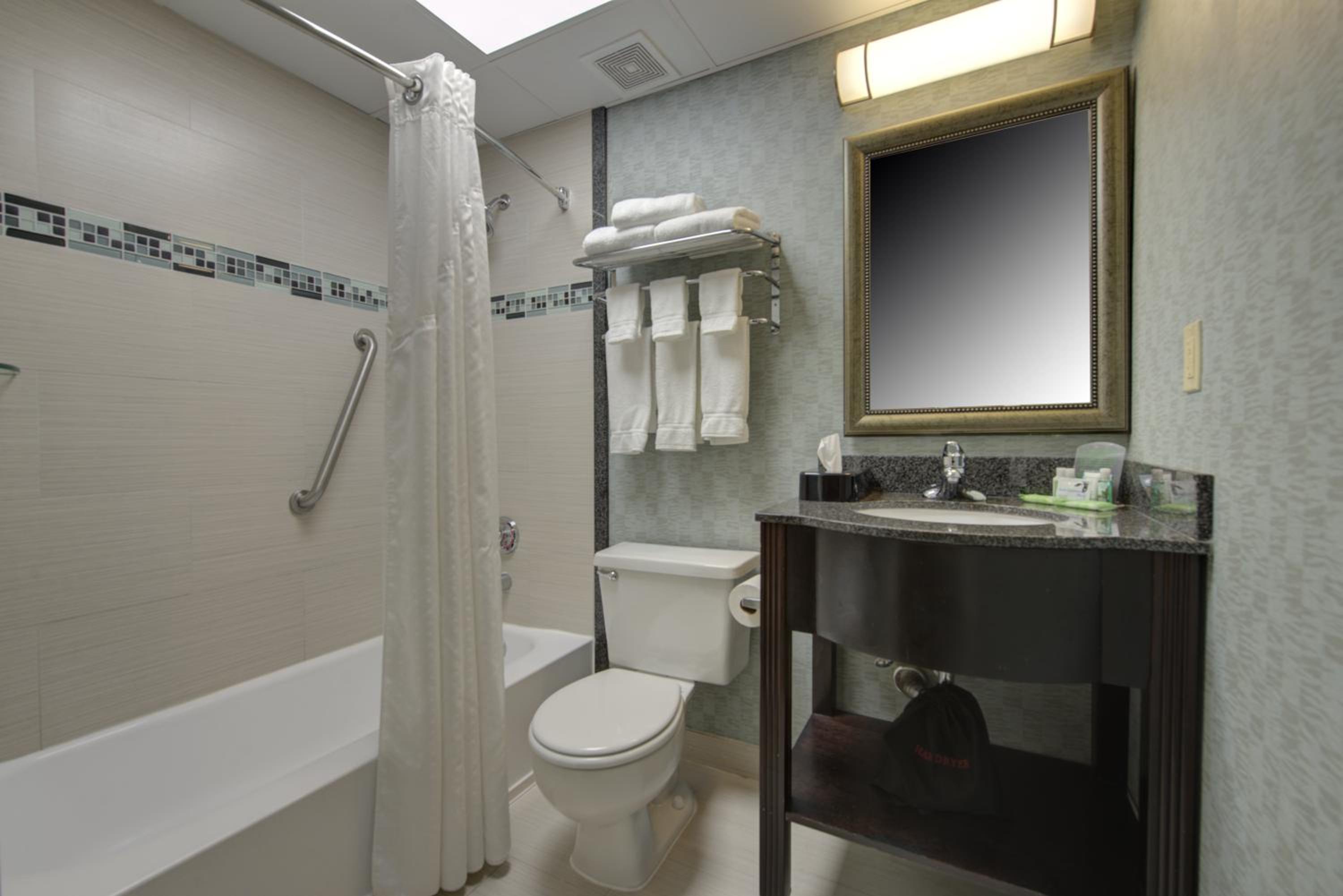 غرفة بسريرين منفصلين لذوي الإعاقة، Holiday Inn Plainview-Long Island 3/5