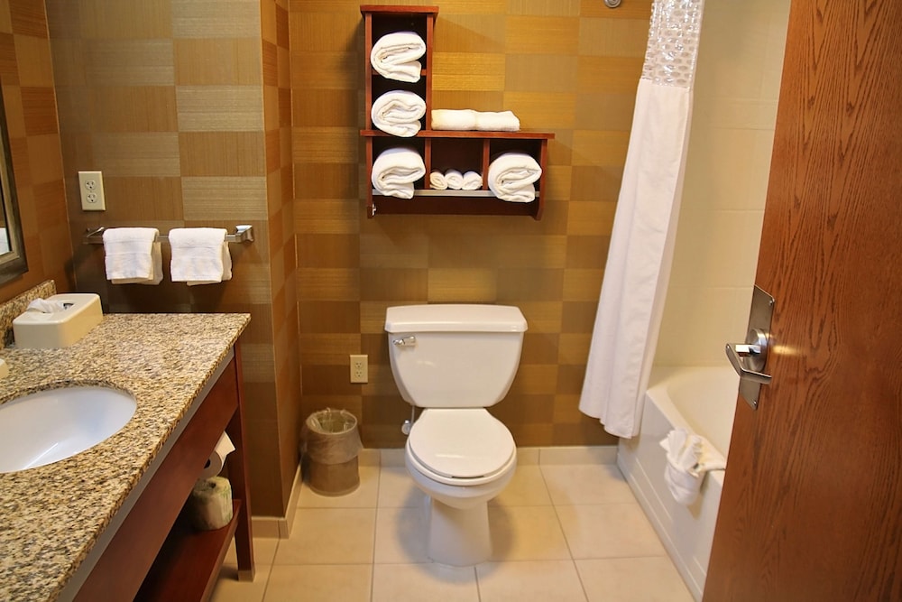 Hampton Inn Detroit North Auburn Hills 28/45